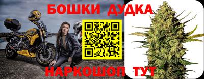 скорость Бийск