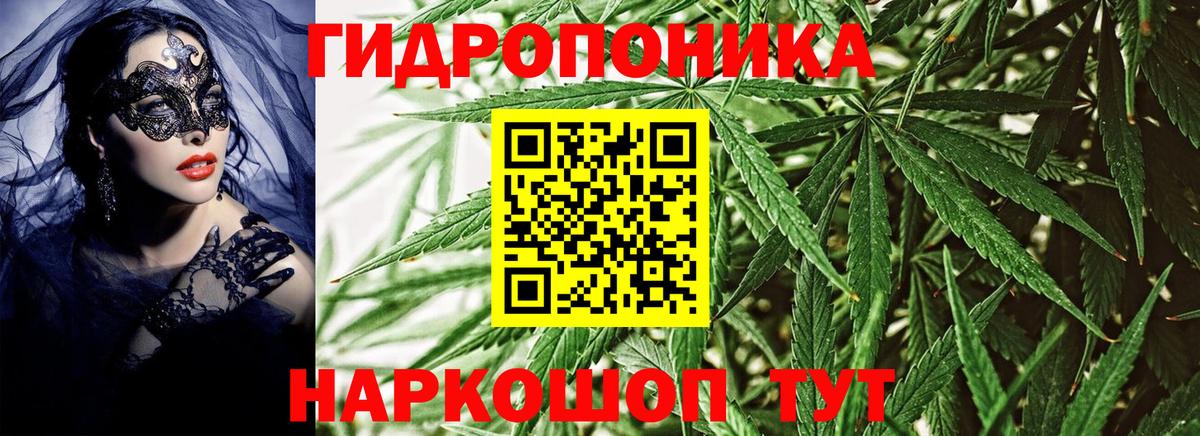 Марихуана сатива  Павлово  Марихуана Bruce Banner 